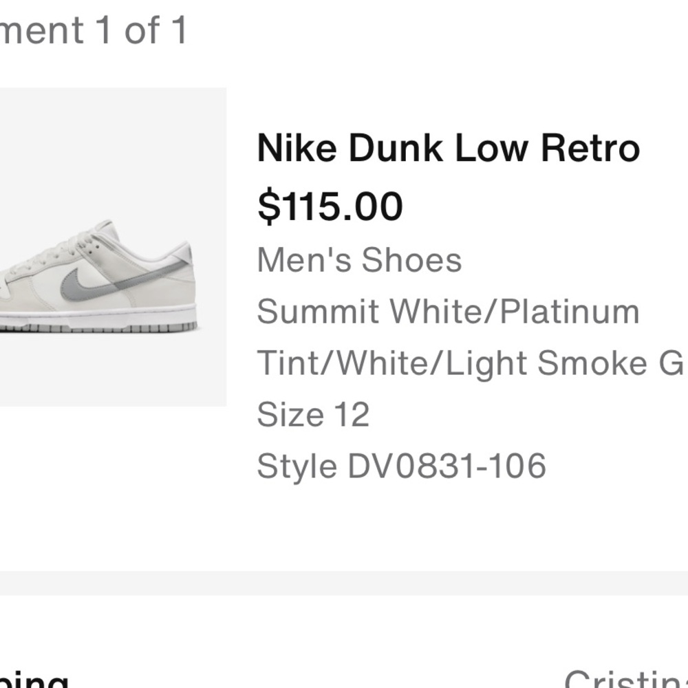 Nike dunk